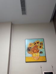 -上海漾颜医疗美容