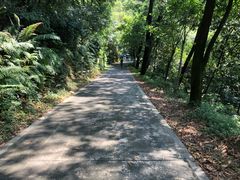 -广州市白云山风景名胜区