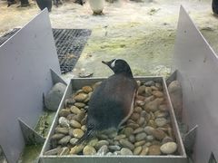 -大连圣亚海洋世界