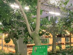 -南宫五洲植物乐园