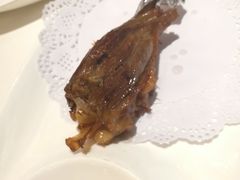 金牌羊棒骨-金春禧(世茂国际广场店)