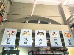 -猫咪博物馆(顶澳仔猫街店)