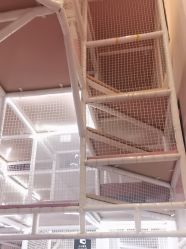 -奈尔宝家庭中心·亲子餐厅(华采天地店)