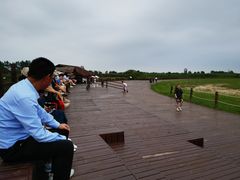 -盐城丹顶鹤湿地生态旅游区