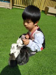 -萌宠亲子动物乐园(槐房万达店)