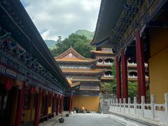 -天目山大树王景区