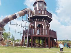 -上海长兴岛郊野公园