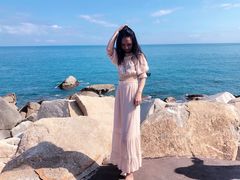 -广东惠东海龟国家级自然保护区