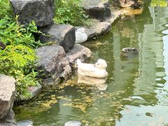 -镇江中国醋文化博物馆