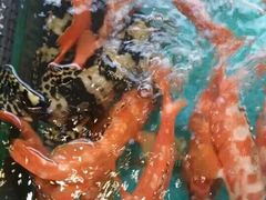 android_upload_pic-宜宾海鲜酒家·三十年老字号