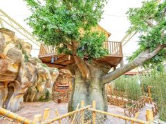 -杭州开元森泊度假乐园