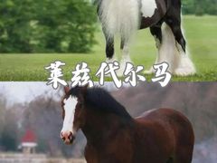 -多维国际马术俱乐部(118广场店)