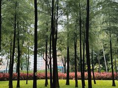 -晓港公园