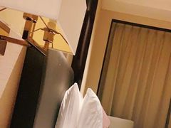 -成都保利公园皇冠假日酒店(熊猫基地店)