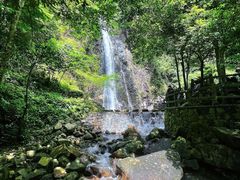 -姑婆山旅游区