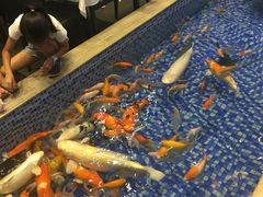 -沙河粉村·国家非遗传承(云台店)