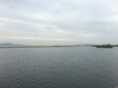 -新木器时代餐厅(太湖新天地店)