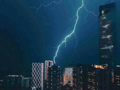 -猫咪博物馆(顶澳仔猫街店)