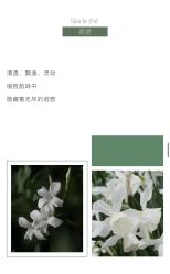 -上海瑞金洲际酒店·宴会厅