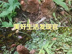 -杭州植物园