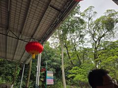 -天鹿湖森林公园