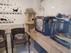 -pd派德宠物中心医院24H急重症·眼科中心·血液透析中心(嵩山北路店)