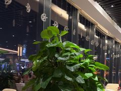 -武汉世茂希尔顿酒店·汇·全日餐厅