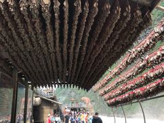 -丽江虎跳峡景区-售票处