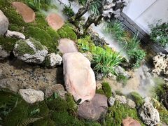-潮粥荟·潮汕砂锅粥(朝阳大悦城店)