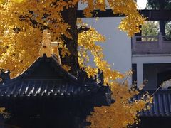 -径山寺