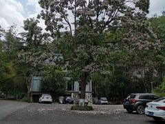 -贵阳市花溪国家城市湿地公园