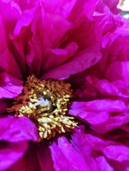 -今日陶艺(富力广场店)