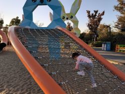 点击看大图 -季高兔窝窝亲子园(上海薰衣草公园店)