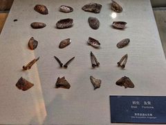 -昂昂溪遗址博物馆