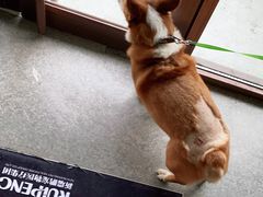 -安安宠医·安宠宠物医院