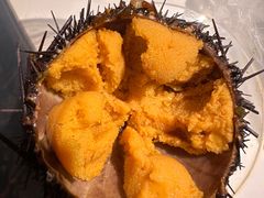 -海胆小馆(东北水饺·春柳店)