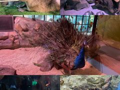 -顺德南宏海立方海洋公园