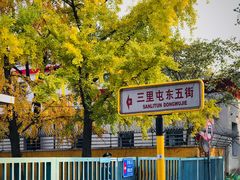 -三里屯东五街银杏大道