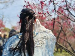 -无锡梅园公园