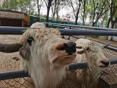 -长白岛森林公园