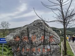 -龙坞茶村