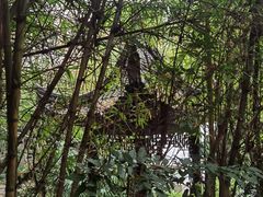 -深圳国际园林花卉博览园