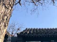 -SUSU·苏苏(四合院创始店)