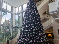 -新发展亚太JW万豪酒店大堂吧