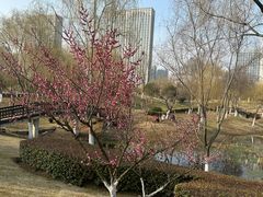 -滨湖塘西河公园