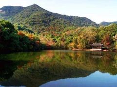 -杭州半山国家森林公园