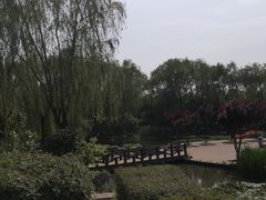 -石家庄市植物园