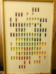 -彩虹之门健康管理