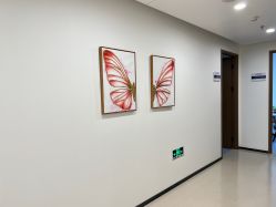 -丰联丽格医疗美容·联合丽格眼整形中心