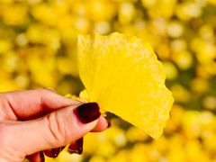 -四川大学(华西校区)